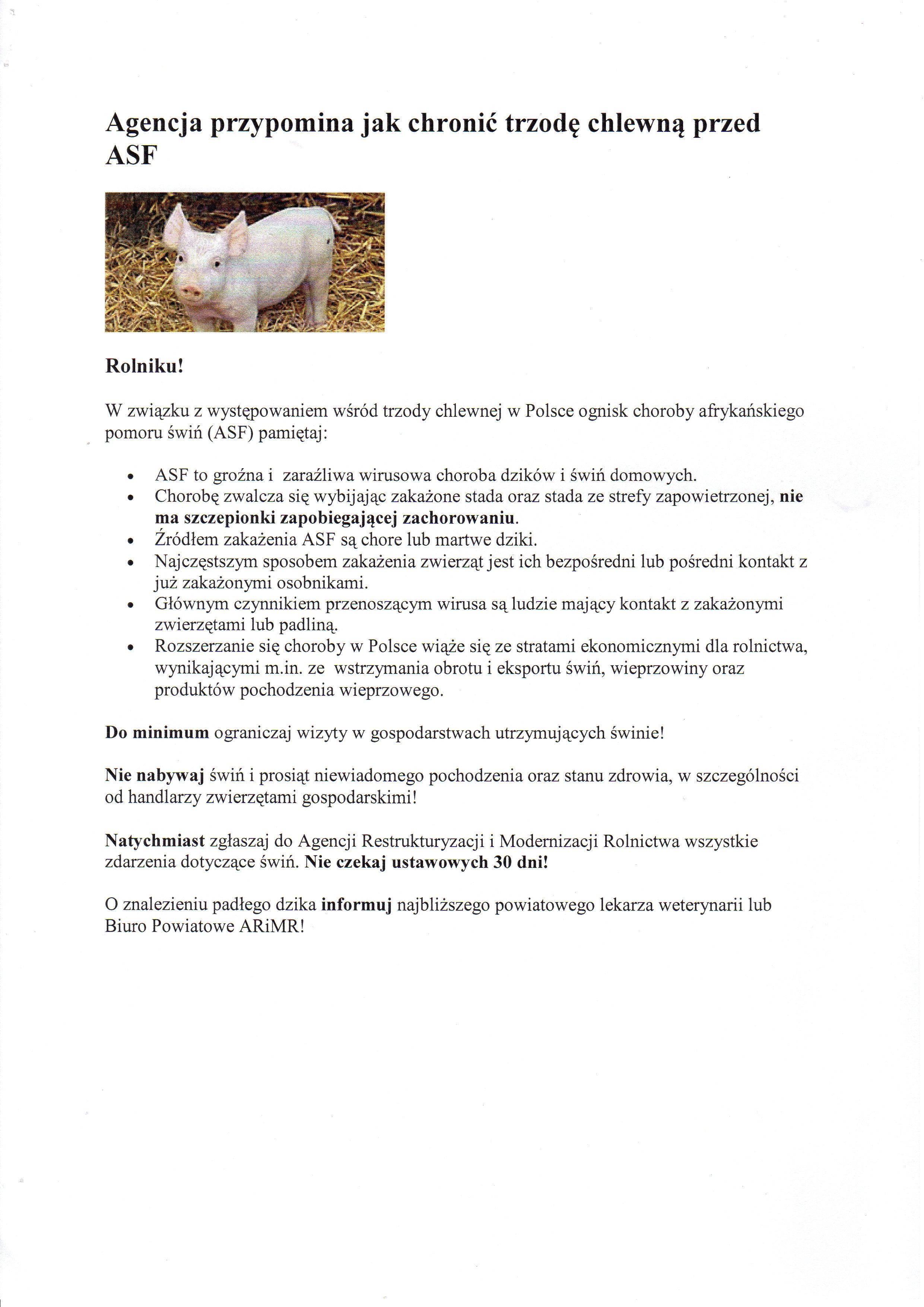 zobacz więcej zdjęć 