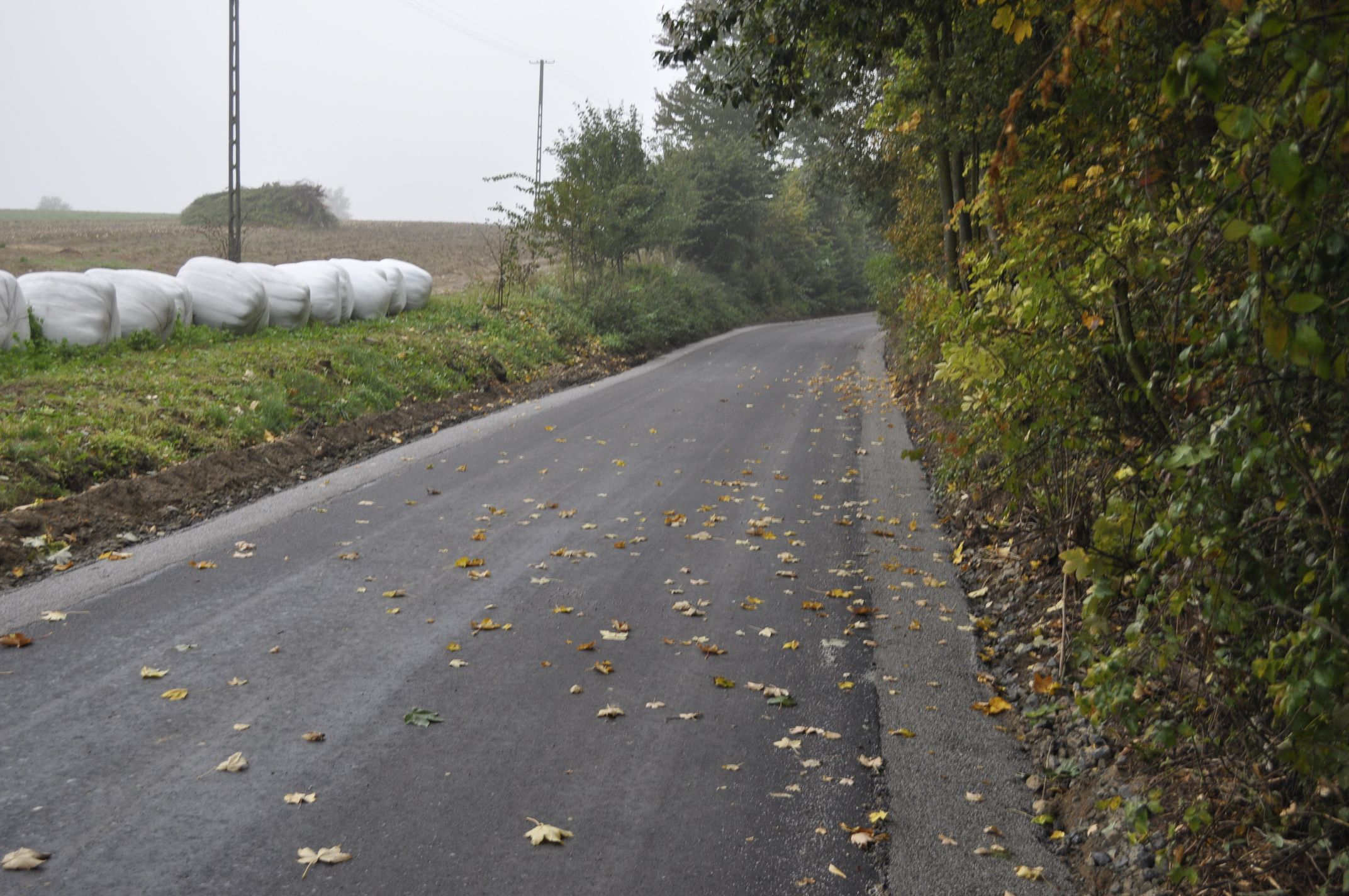 zobacz więcej zdjęć 