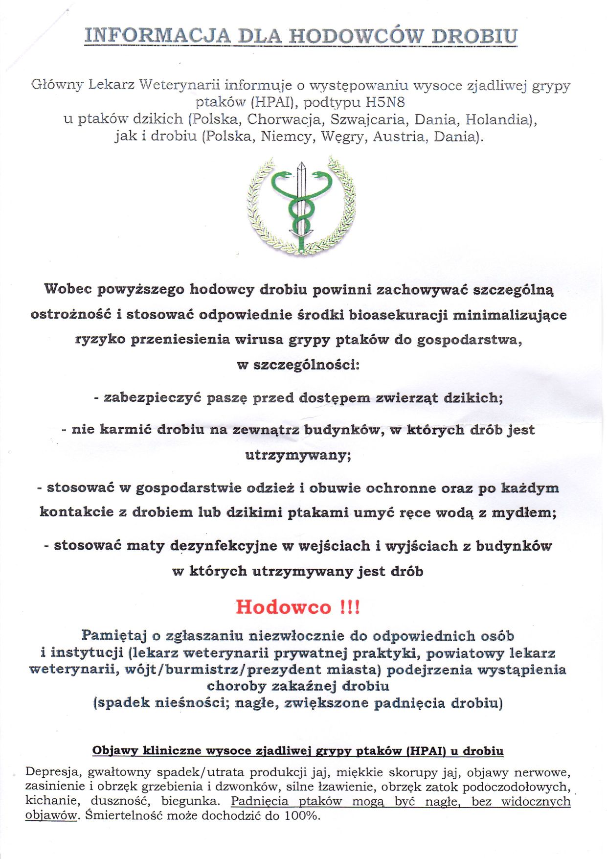 zobacz więcej zdjęć 