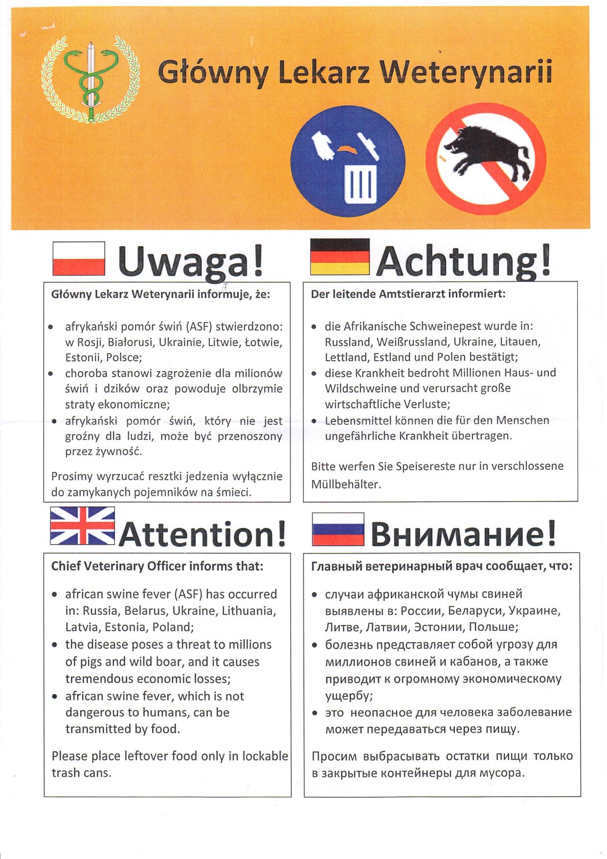 zobacz więcej zdjęć 