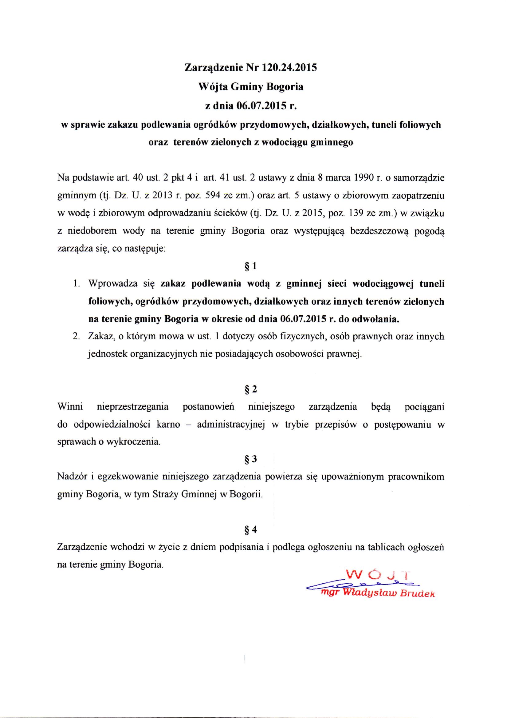 zobacz więcej zdjęć 