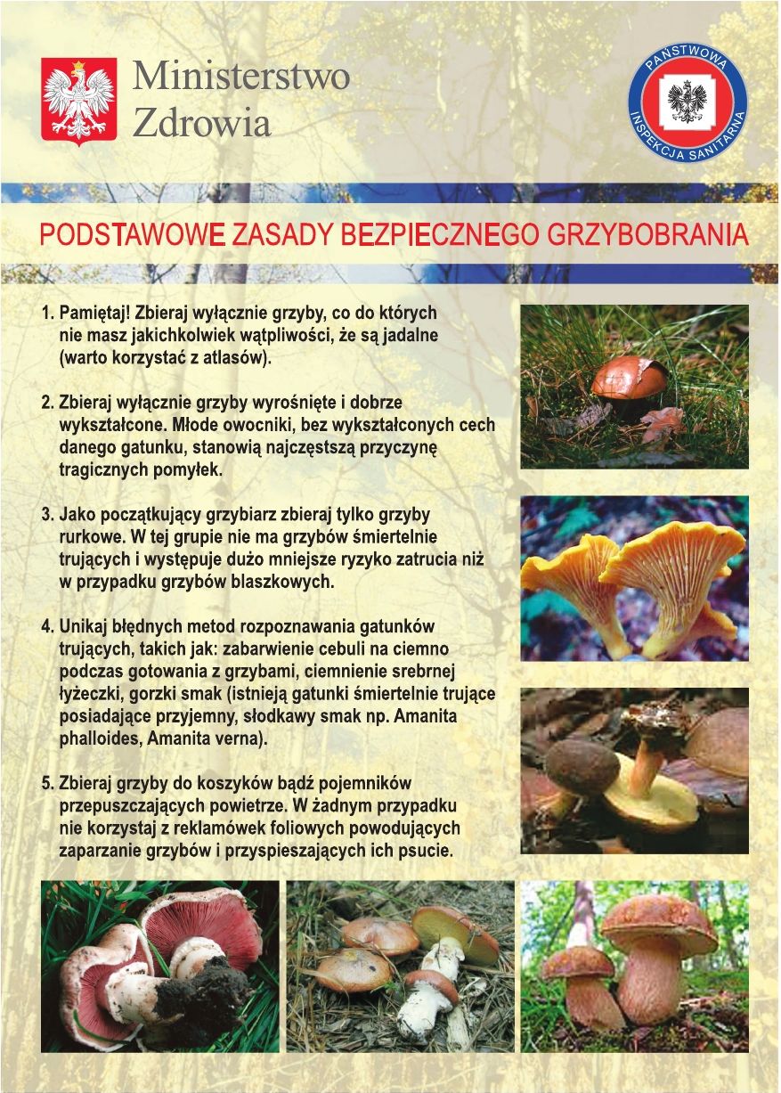 zobacz więcej zdjęć 