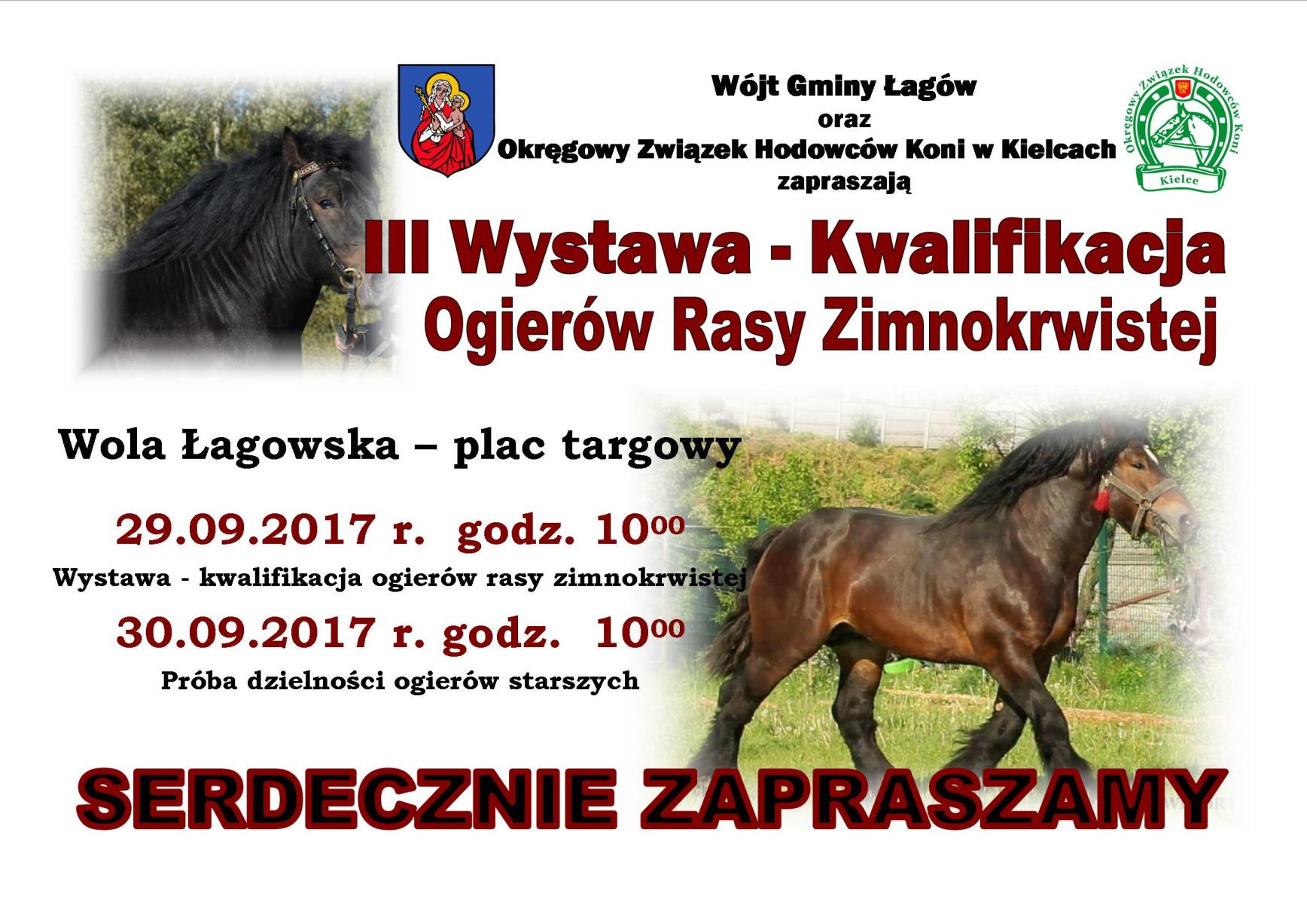 zobacz więcej zdjęć 