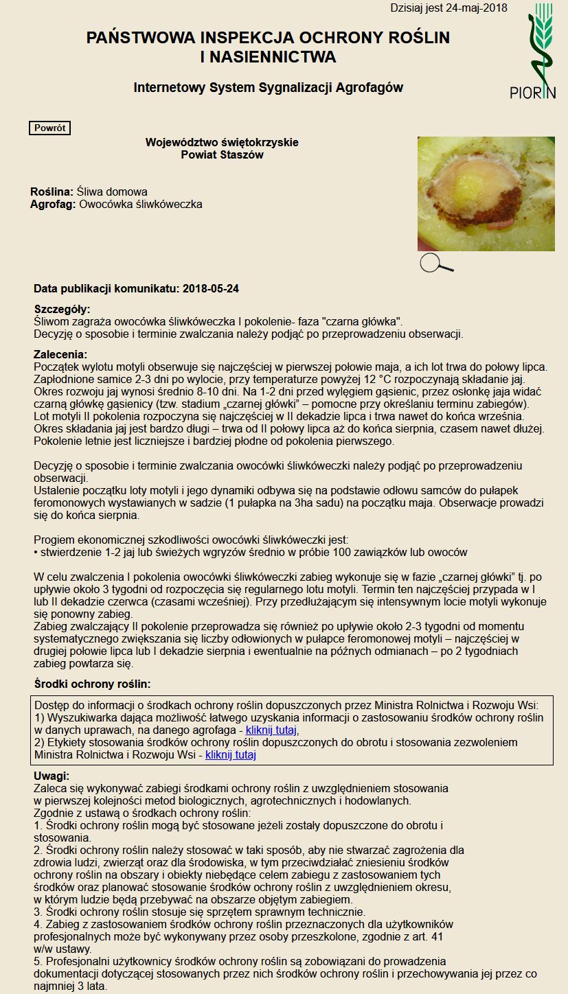 zobacz więcej zdjęć 