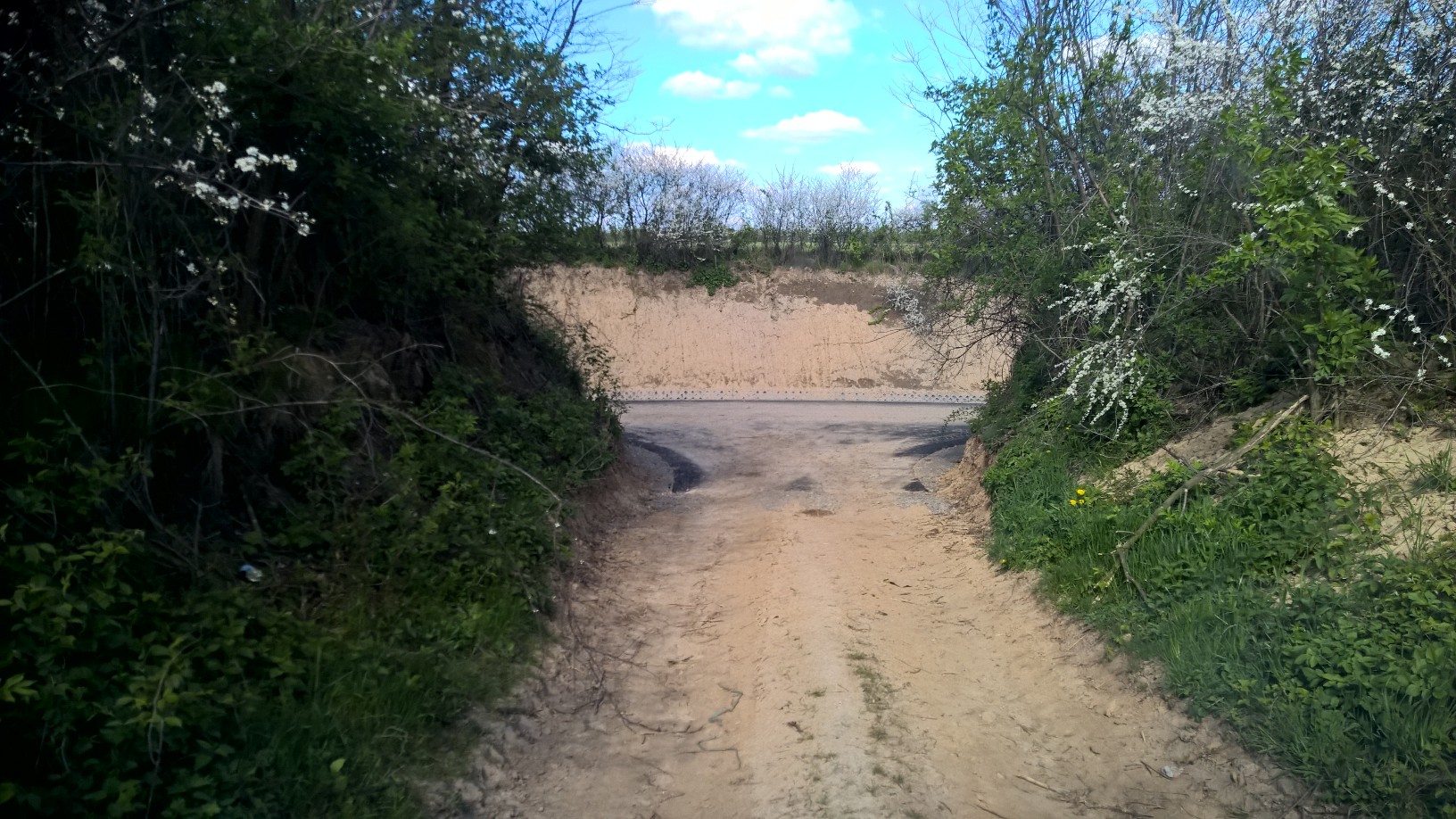 zobacz więcej zdjęć 