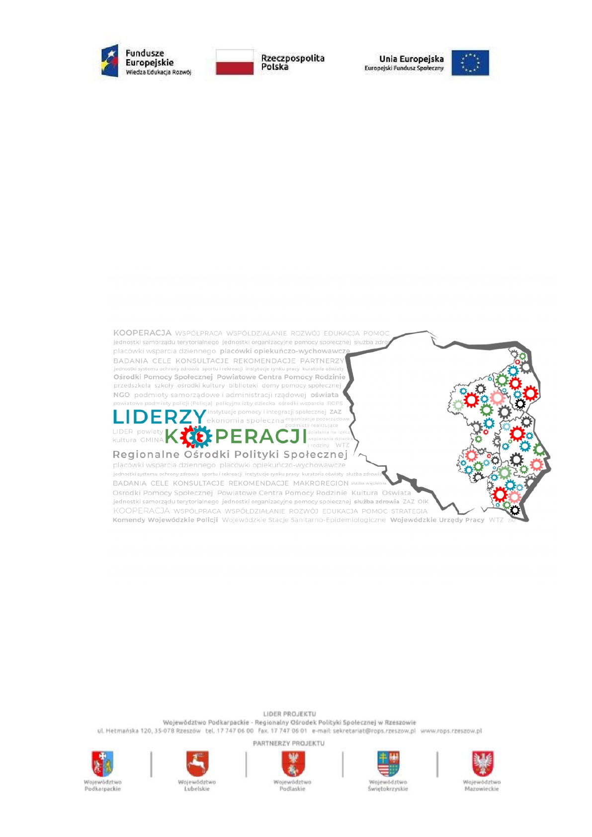 zobacz więcej zdjęć 