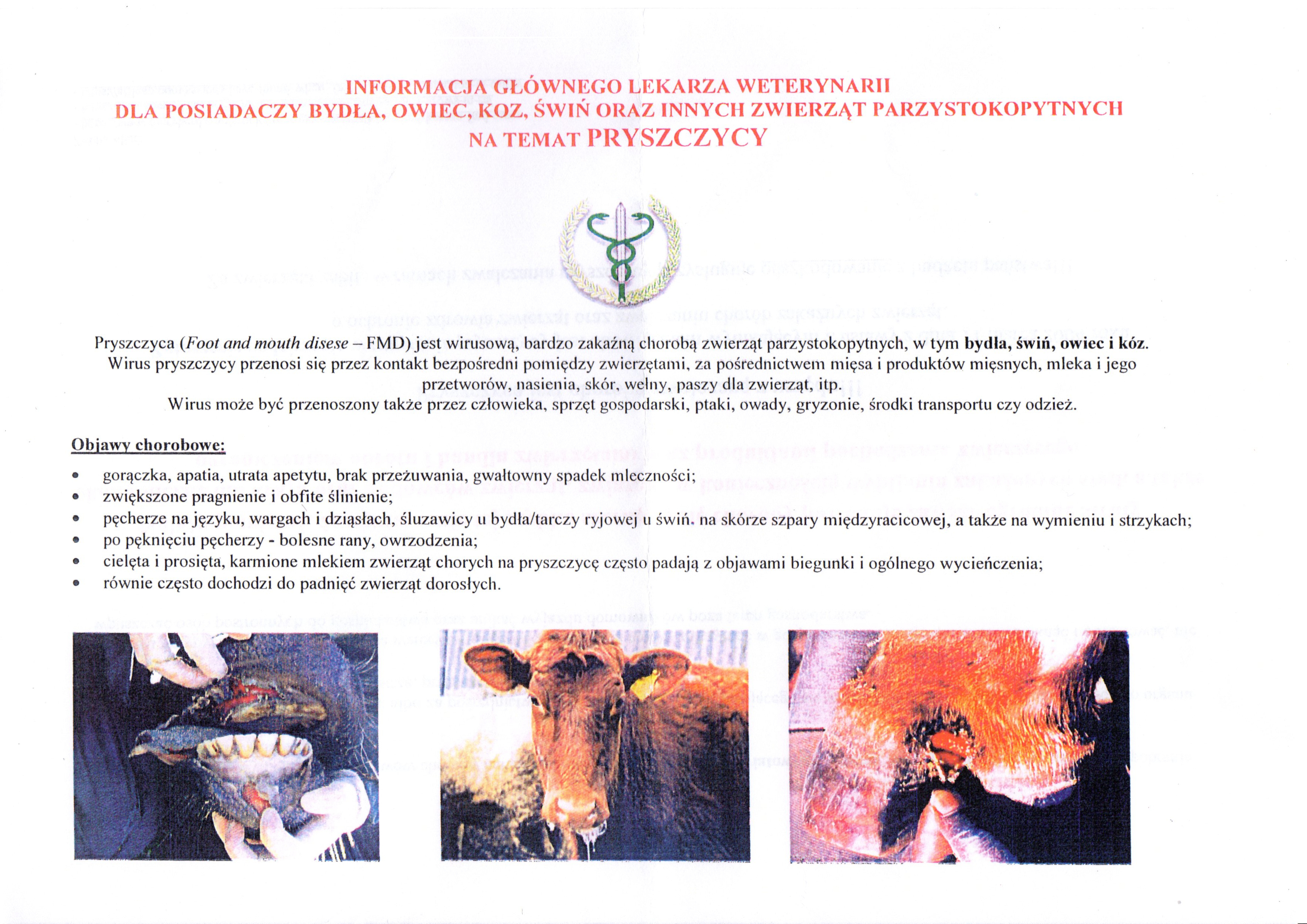 zobacz więcej zdjęć 