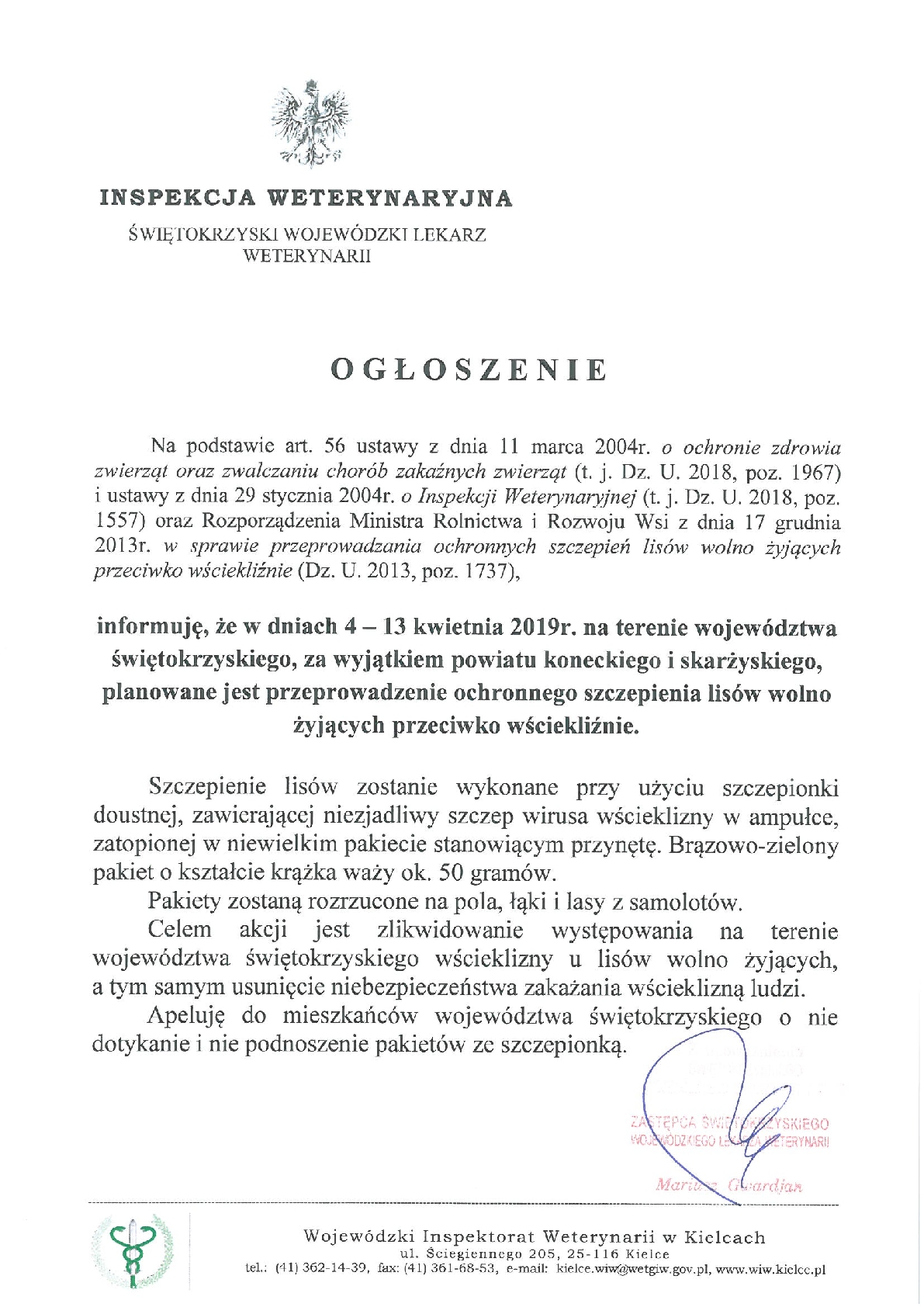 zobacz więcej zdjęć 