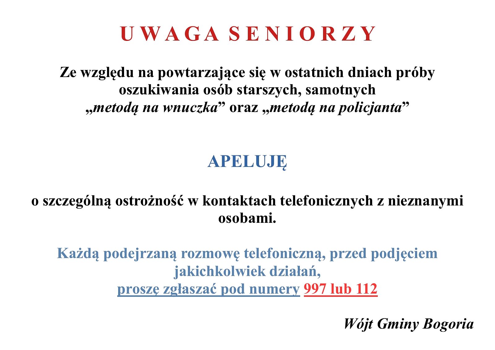 zobacz więcej zdjęć 