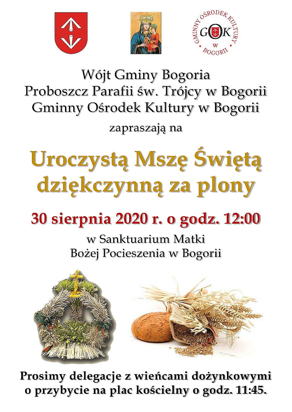 zobacz więcej zdjęć 