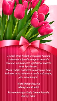 zobacz więcej zdjęć 