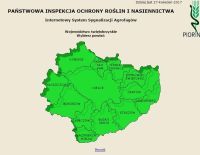 zobacz więcej zdjęć 