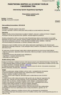 zobacz więcej zdjęć 