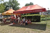 Wakacyjny Raport Dnia Radia Kielce z rynku w Bogorii - 8